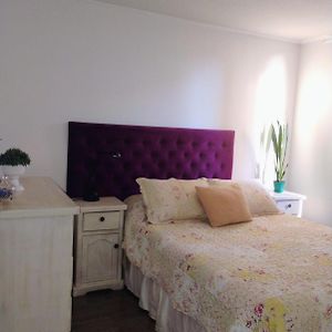 Apartamento de 1 Dormitorio